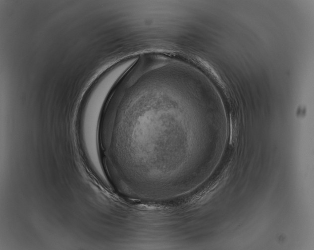 X0000094900435200711291236
