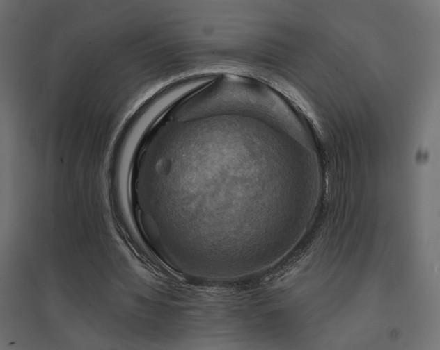 X0000094900436200711291236