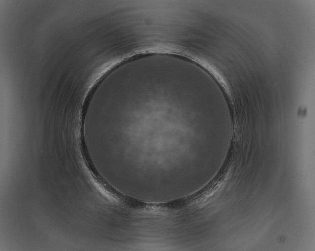 X0000094900437200711291236