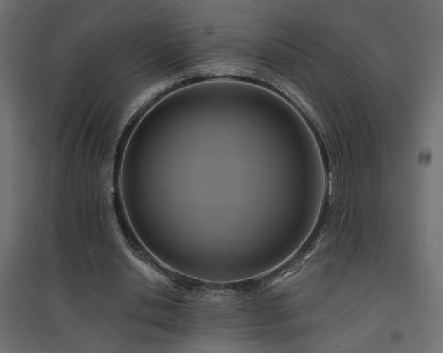 X0000094900438200711291236