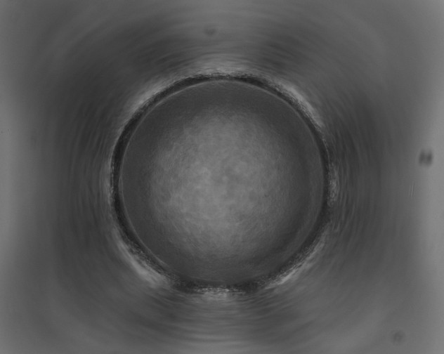 X0000094900439200711291236