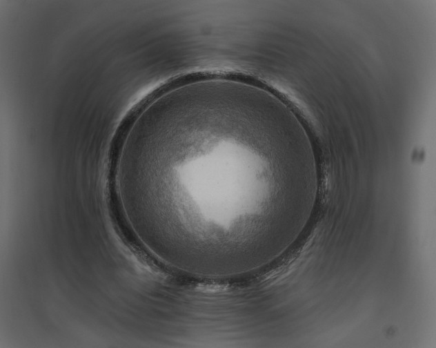 X0000094900440200711291236