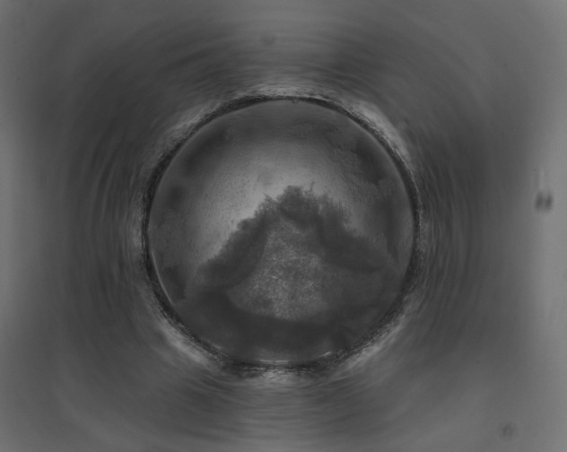X0000094900441200711291236