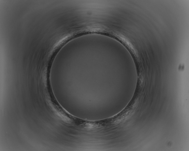 X0000094900442200711291236