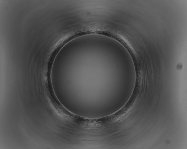 X0000094900443200711291236