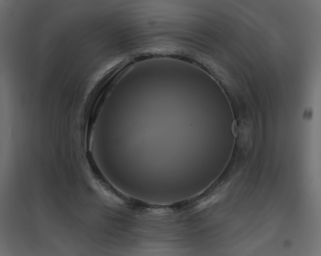 X0000094900446200711291236