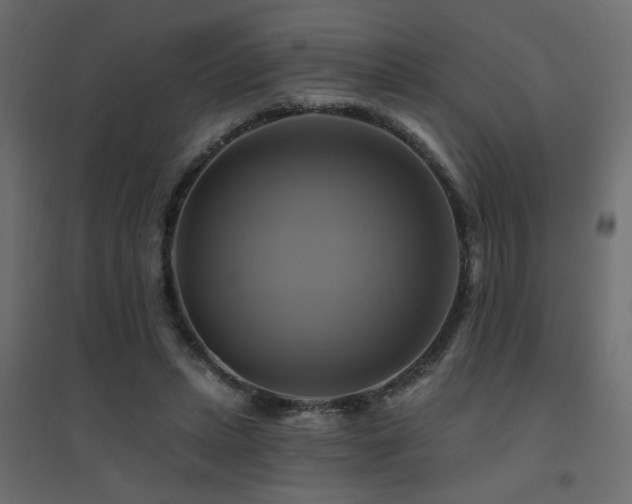 X0000094900447200711291236