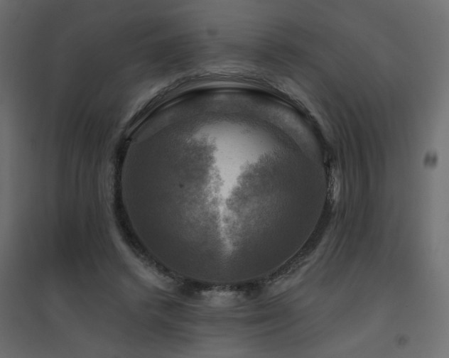 X0000094900448200711291236