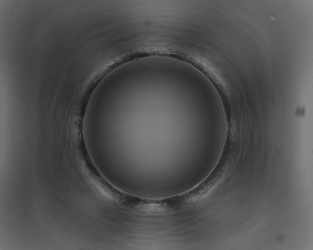 X0000094900449200711291236