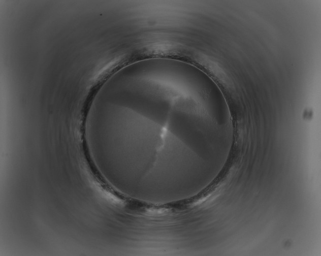 X0000094900450200711291236