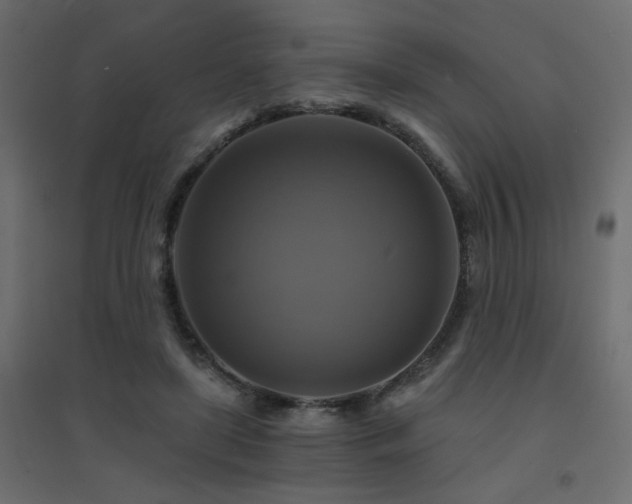 X0000094900451200711291236