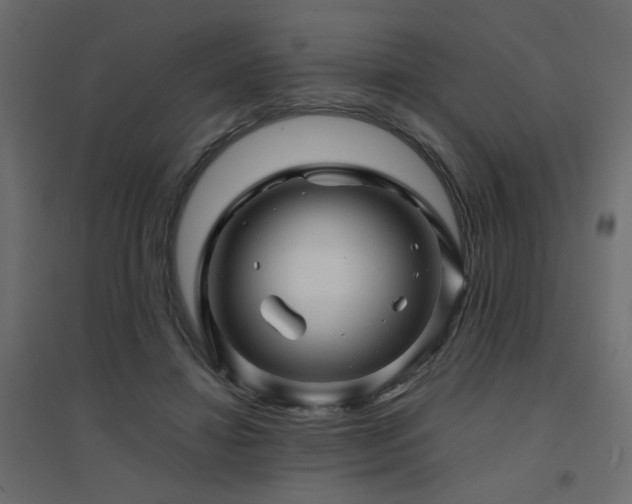 X0000094900452200711291236