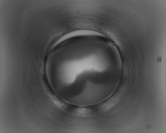 X0000094900453200711291236