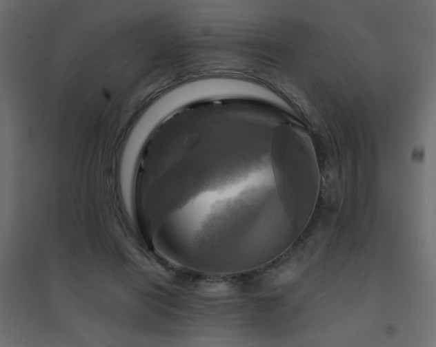 X0000094900454200711291236