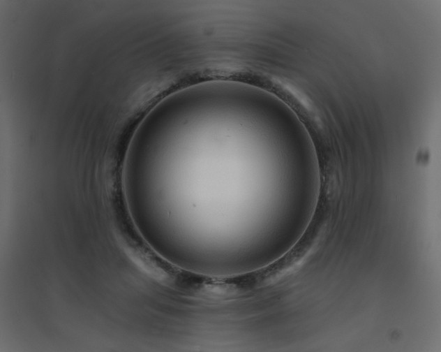 X0000094900455200711291236