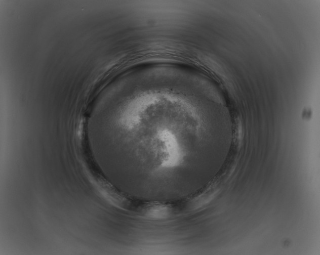 X0000094900456200711291236