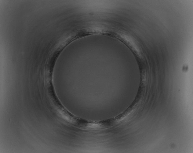X0000094900457200711291236