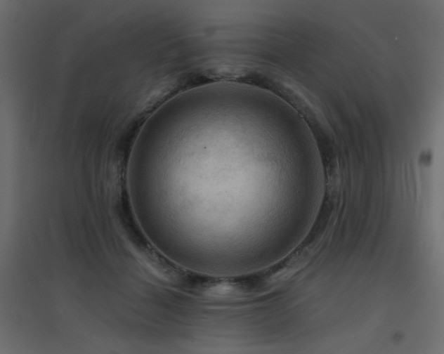 X0000094900460200711291236