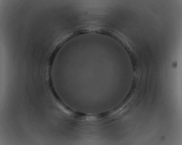 X0000094900462200711291236