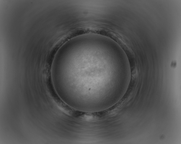 X0000094900464200711291236