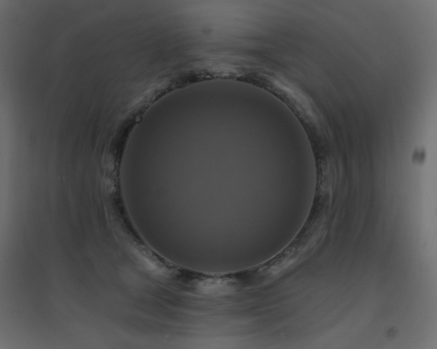 X0000094900465200711291236