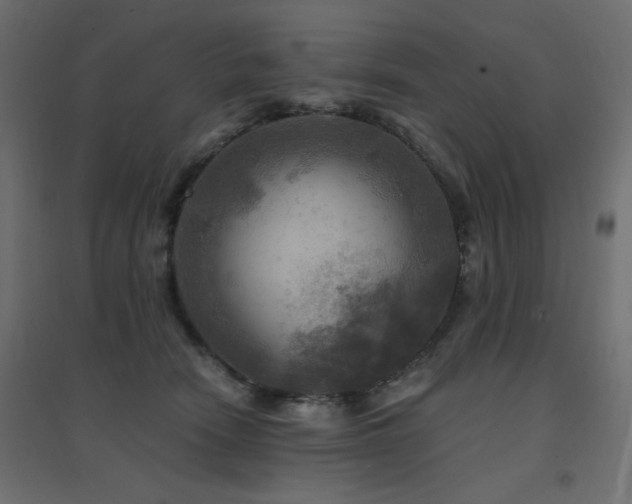 X0000094900466200711291236
