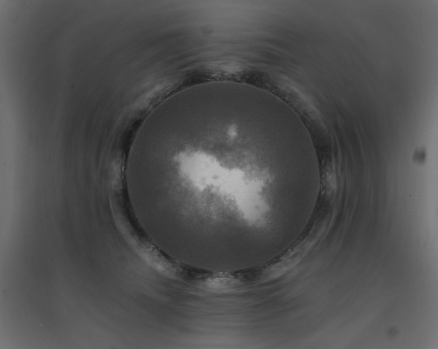 X0000094900468200711291236
