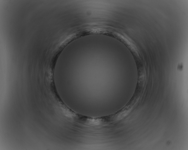 X0000094900469200711291236