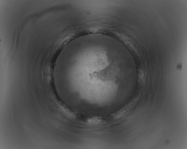 X0000094900470200711291236