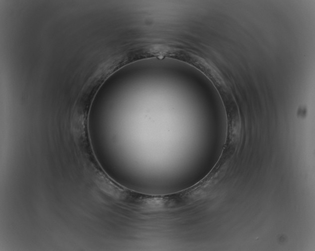 X0000094900473200711291236