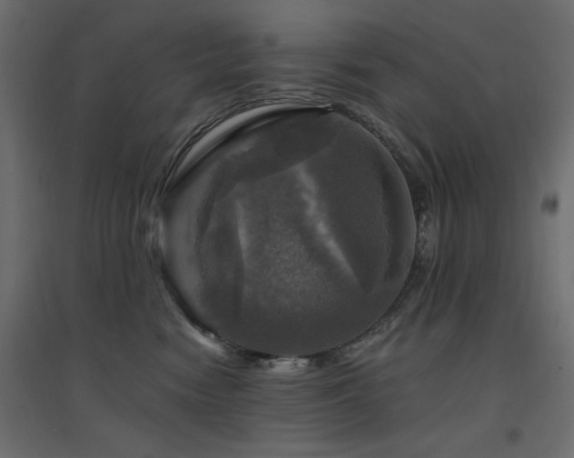 X0000094900474200711291236