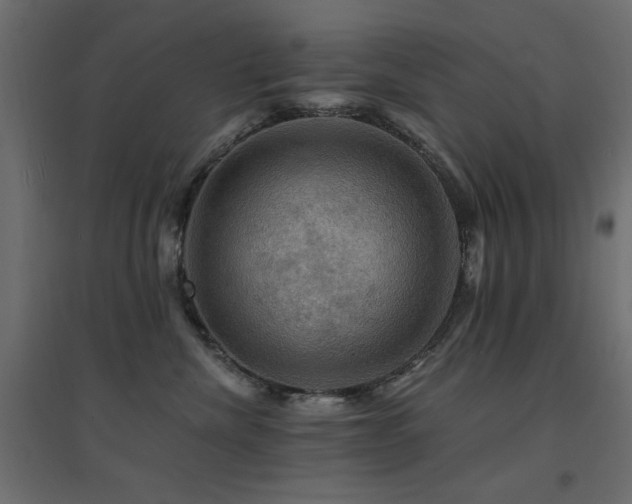 X0000094900476200711291236