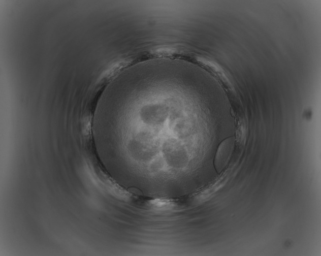 X0000094900477200711291236