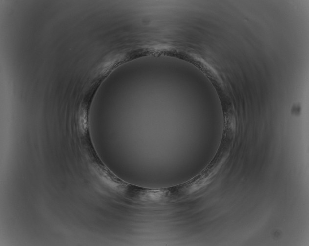 X0000094900479200711291236
