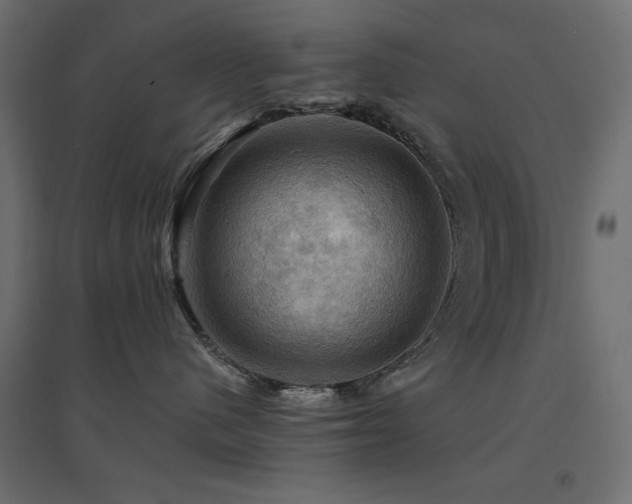 X0000094900480200711291236