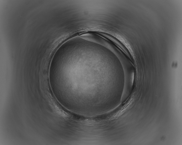 X0000094900481200711291236