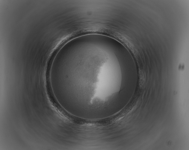 X0000094900482200711291236