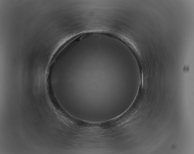 X0000094900483200711291236