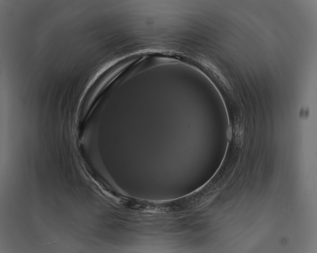 X0000094900484200711291236