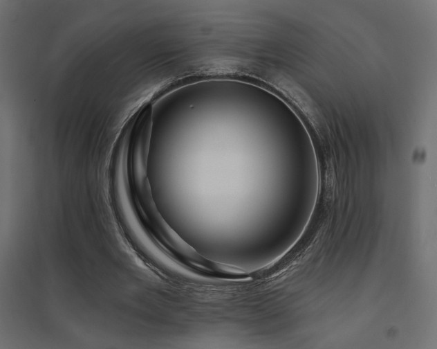 X0000094900485200711291236