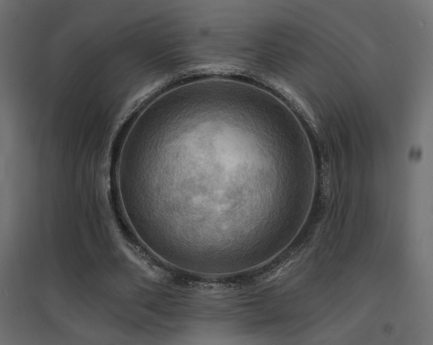 X0000094900486200711291236