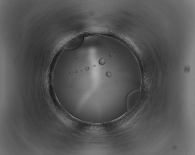 X0000094900487200711291236