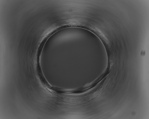 X0000094900488200711291236