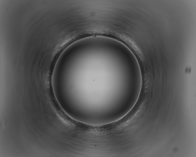 X0000094900489200711291236