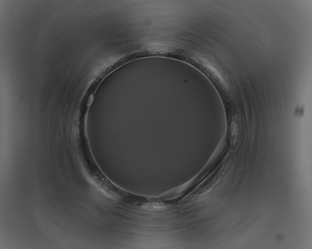 X0000094900492200711291236