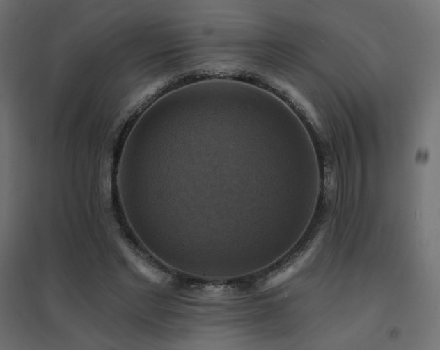 X0000094900493200711291236