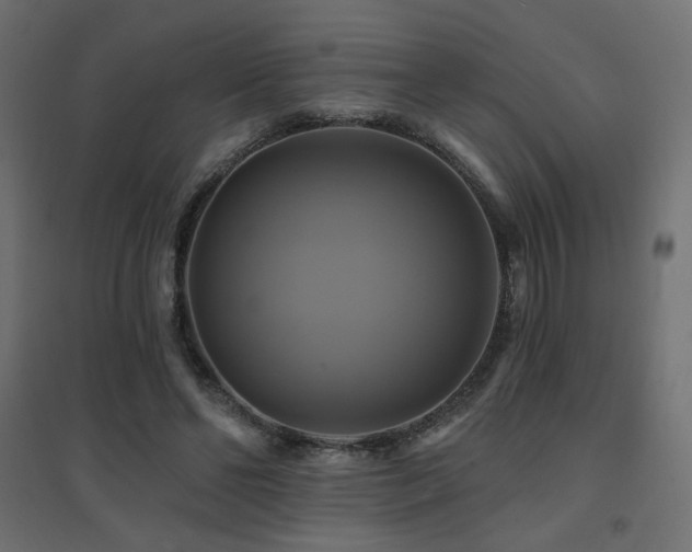 X0000094900494200711291236