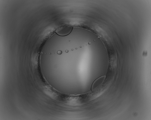 X0000094900495200711291236