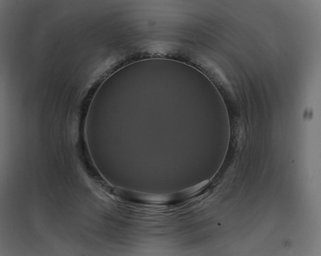 X0000094900496200711291236