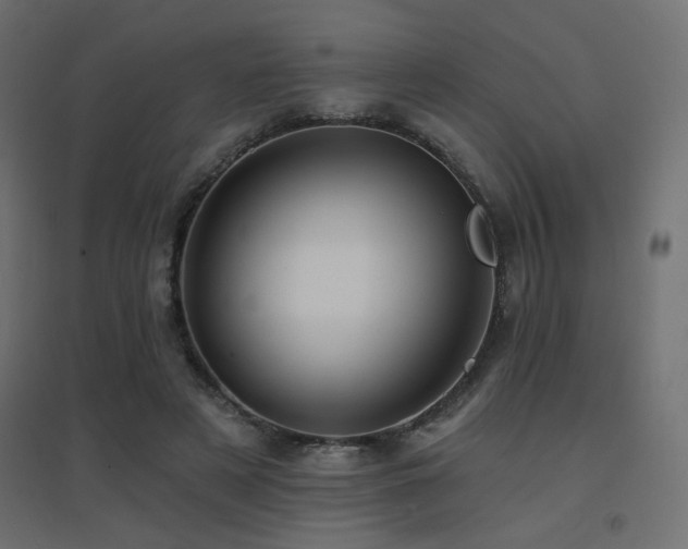 X0000094900497200711291235